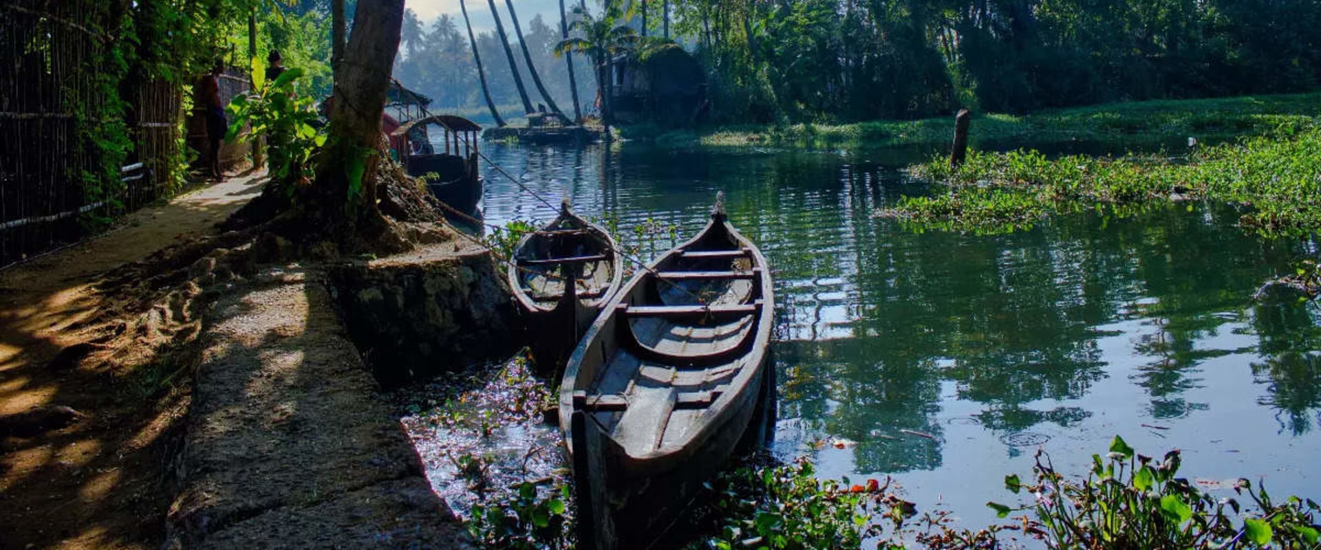 Exploring the Unique Charms of Kerala