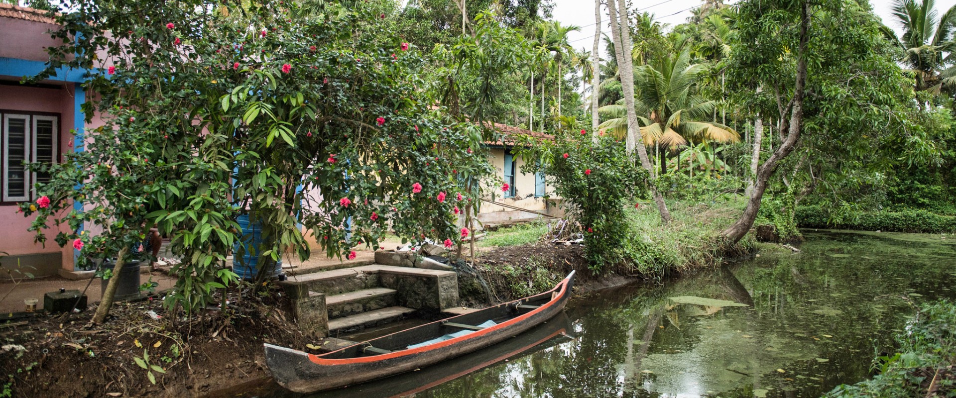 Exploring the Wonders of Kerala